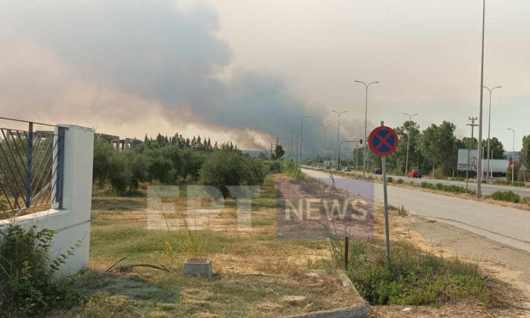 Πύργος: Παρεμβάσεις για οδικά έργα σε πυρόπληκτες περιοχές