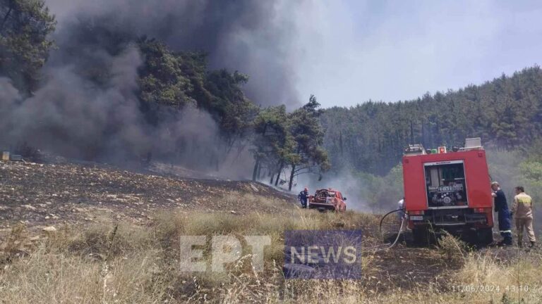 Συναγερμός για πυρκαγιά κοντά στις εγκαταστάσεις του πρώην ΤΕΙ Λάρισας – Πληροφορίες για αποκλεισμένους εργαζόμενους και φοιτητές