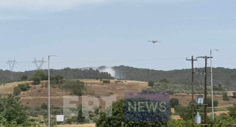 Σέρρες: Υπό έλεγχο η πυρκαγιά στο Γάζωρο (βίντεο)