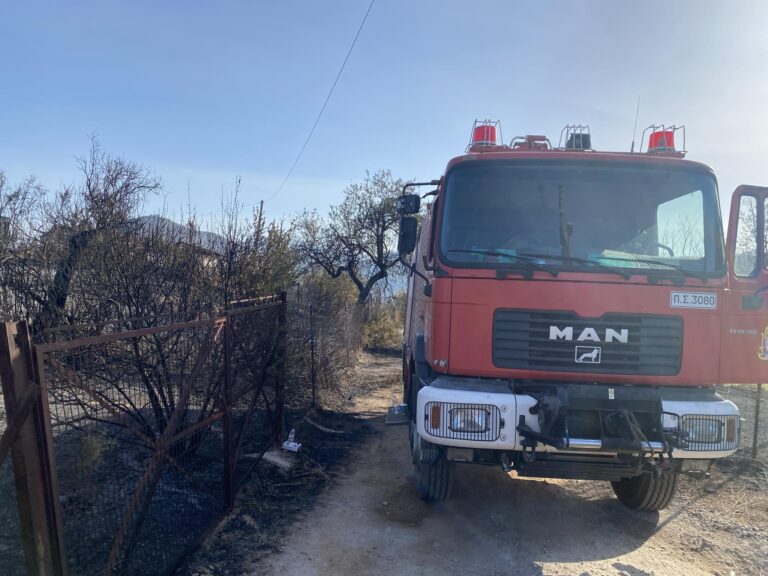 Λέσβος: Κεραυνοί προκάλεσαν πυρκαγιές σε Ρογκάδα και Όλυμπο
