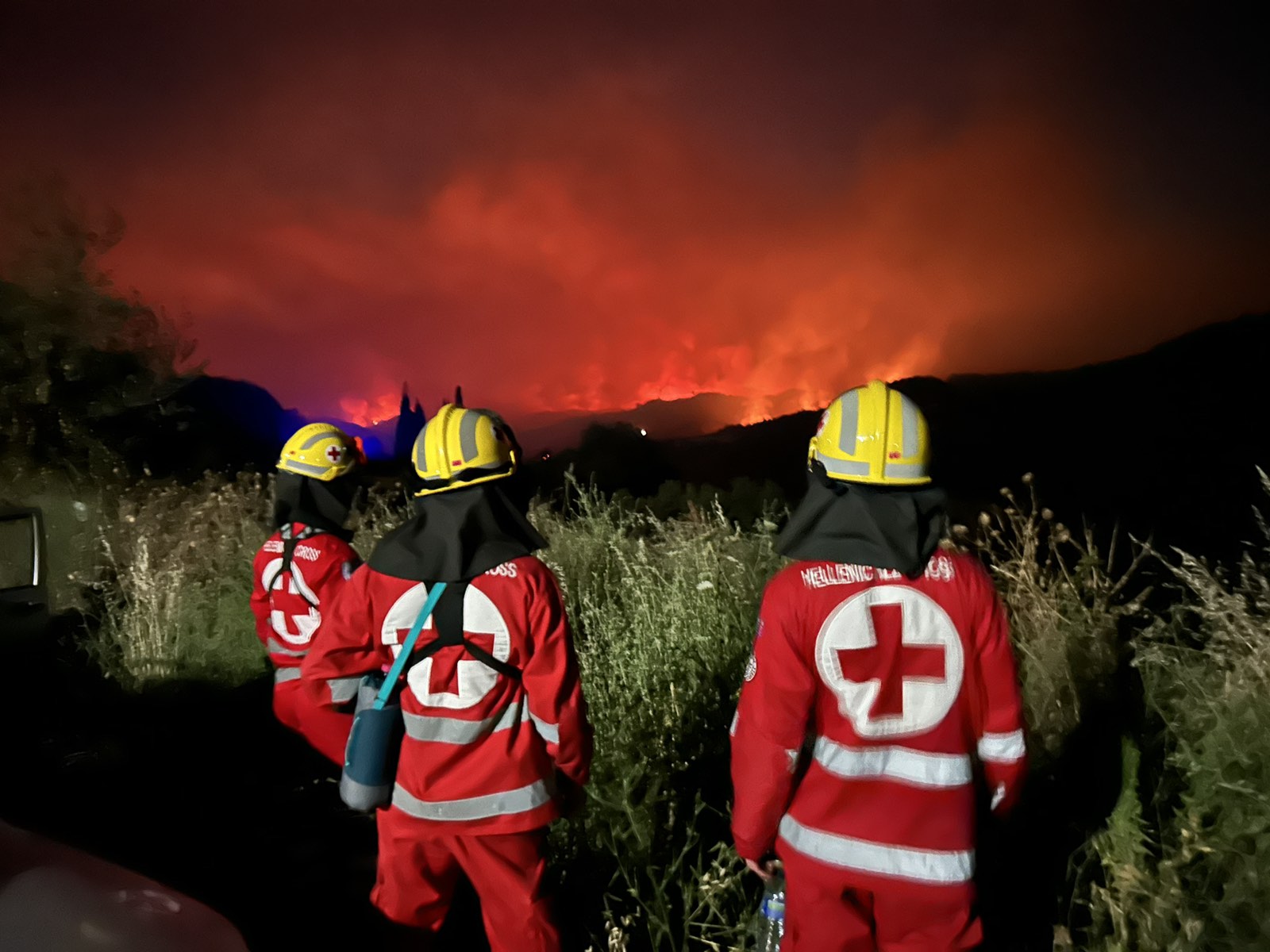 red_cross_foties