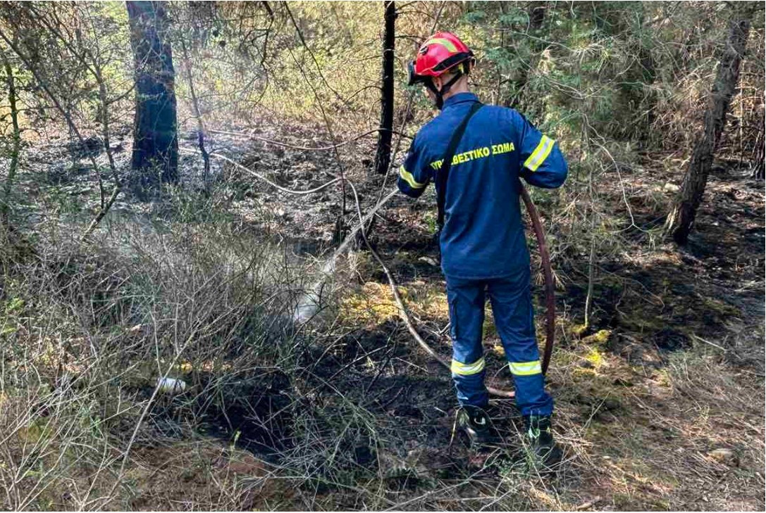 Σ. Δανιηλίδης: 24ωρες περιπολίες στο Σέιχ Σου πριν να είναι αργά για τον πράσινο “πνεύμονα” της Θεσσαλονίκης