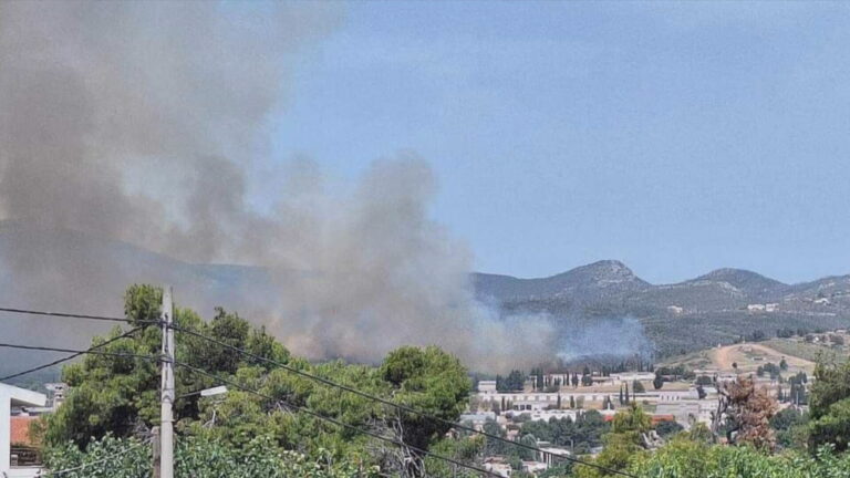 Οριοθετήθηκε η φωτιά σε δασική έκταση στη Δροσοπηγή Ωρωπού