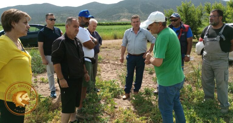 Αμύνταιο: Αυτοψία κλιμακίου του ΕΛΓΑ σε καλλιέργειες οσπρίων