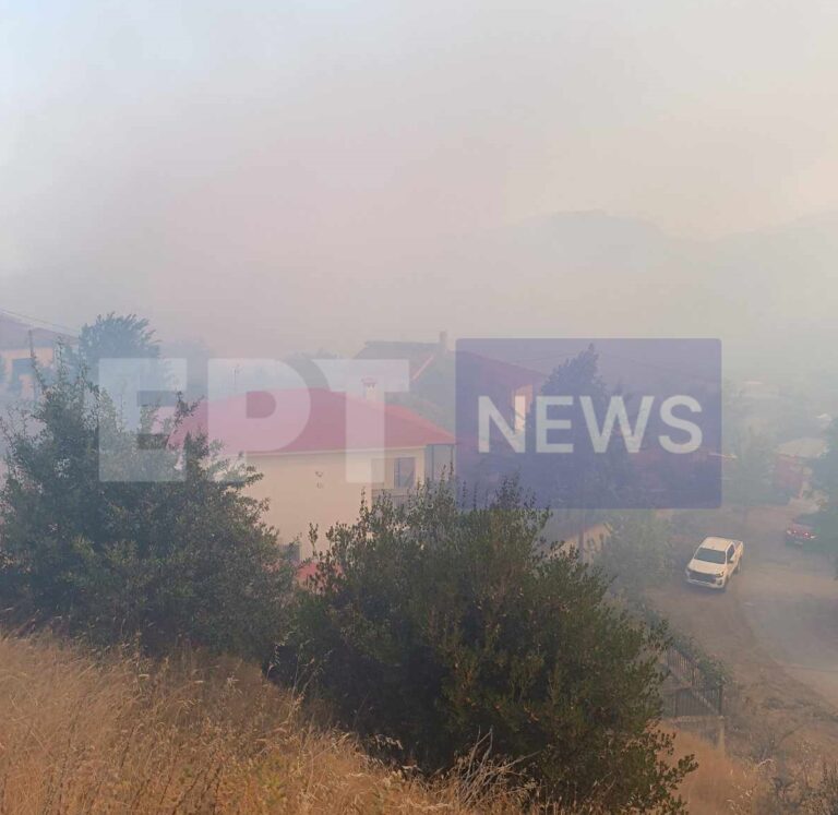 Καλαμπάκα: Σε ύφεση η πυρκαγιά σε δασική έκταση στο Ορθοβούνι