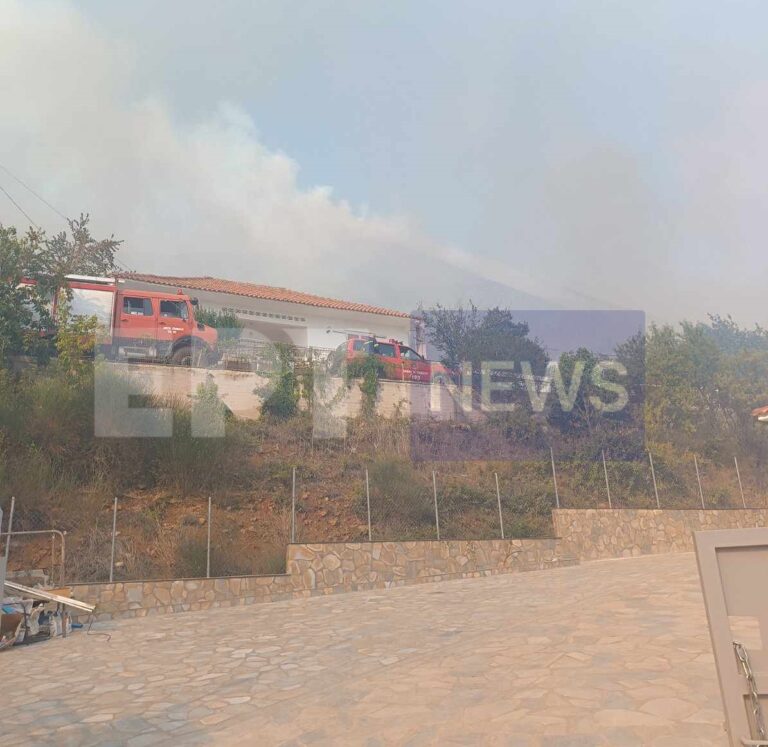 Φωτιά στη Καλαμπάκα, σε δασική έκταση στο Ορθοβούνι – Μήνυμα του 112