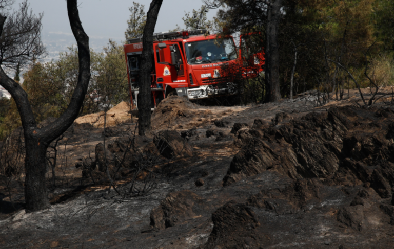 Υψηλός κίνδυνος πυρκαγιάς σε περιοχές της Κεντρικής Μακεδονίας