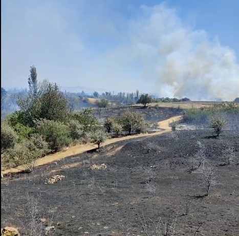 Φωτιές σε εξέλιξη στο Χέρσο Κιλκίς και το Ελευθεροχώρι Πέλλας- Μήνυμα στους κατοίκους από το 112 λόγω ανέμων