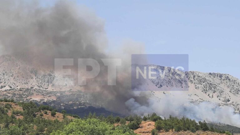 Χίος: Σύλληψη ημεδαπού για πρόσκληση πυρκαγιάς σε αγροτοδασική έκταση στη Λάμπη Σιδηρούντας