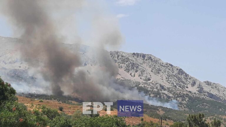 Χίος: Μαίνεται η πυρκαγιά σε δασική έκταση στην περιοχή Ρεστά – Εστάλη 112 για απομάκρυνση των κατοίκων (φωτό-βίντεο)