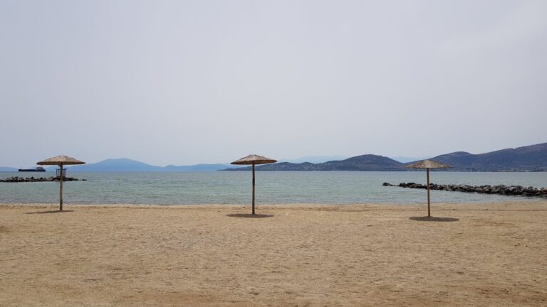 Βόλος: Χρ. Βενέτης – “Ο Ιατρικός Σύλλογος Μαγνησίας είναι  σύμβουλος της Πολιτείας και πρέπει να ενημερώνεται επίσημα”