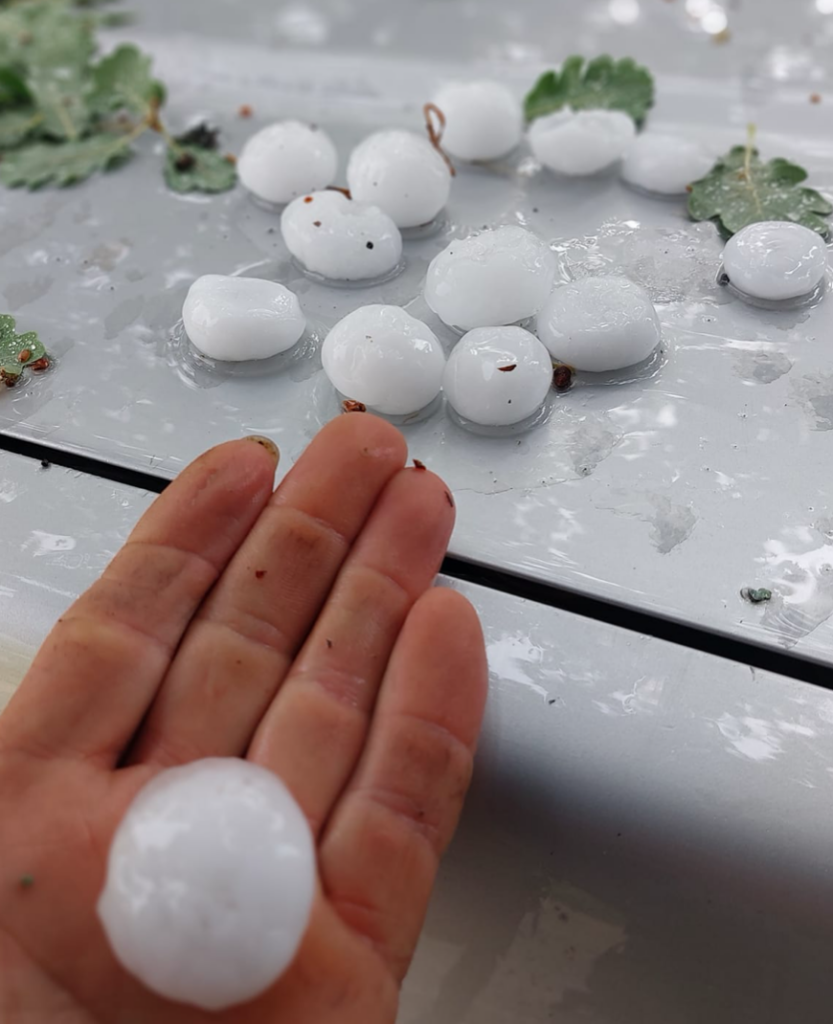 Έδεσσα: Χαλάζι σε μέγεθος καρυδιού -Καταστροφές σε καλλιέργειες ακόμη και στο 100%