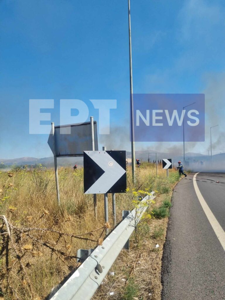 Τρίπολη: Πυρκαγιά στο 6ο χλμ. Τρίπολης – Σπάρτης στην παλαιά εθνική οδό