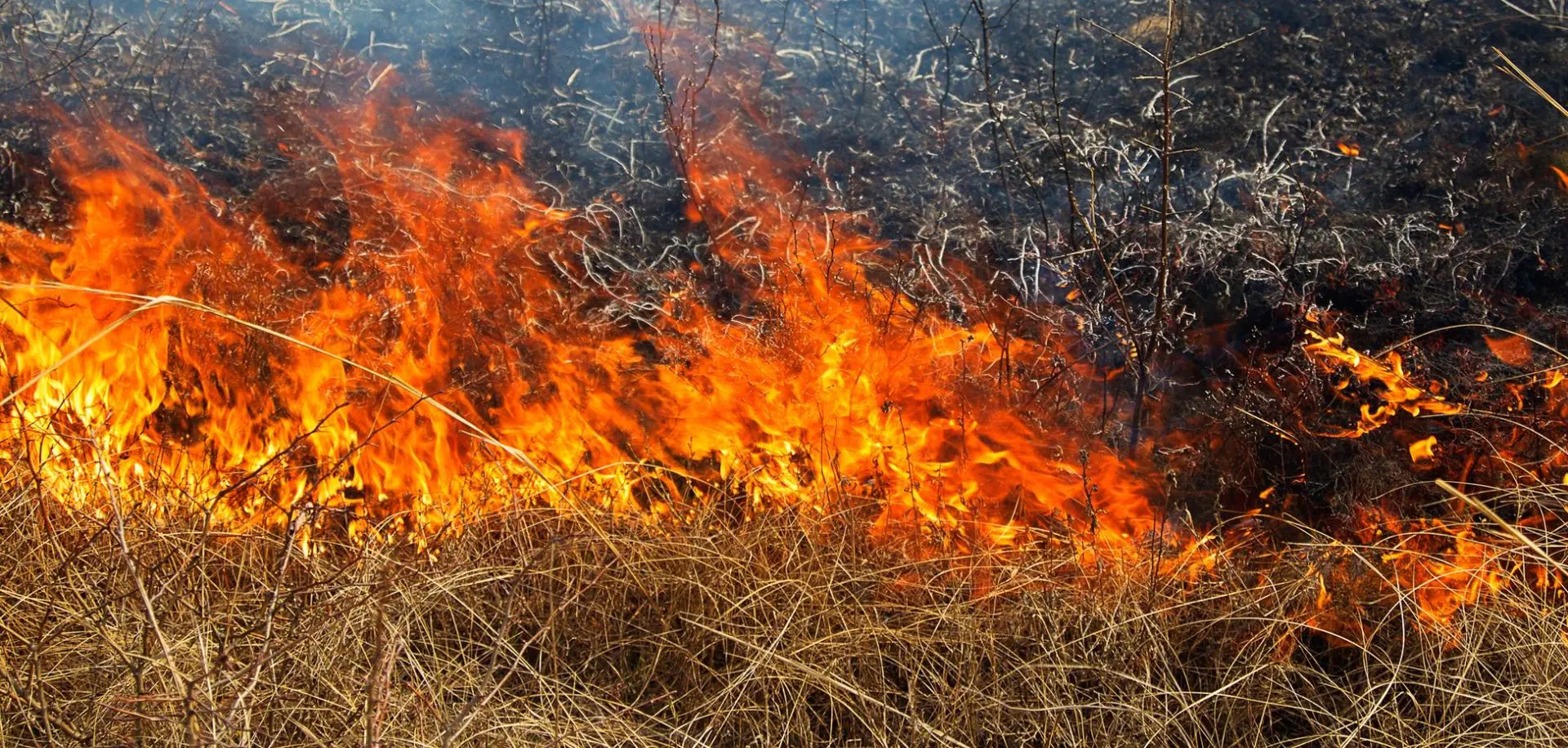 Απαγόρευση καύσης σε όλες τις περιοχές της Ελλάδας λόγω επικίνδυνων καιρικών συνθηκών