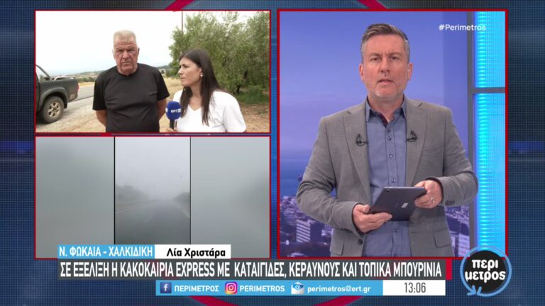 Χαλκιδική: Καταστροφές σε χιλιάδες ελαιόδεντρα στη Νέα Φώκαια από το χαλάζι