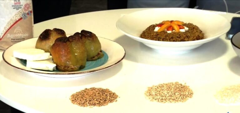 Το ξακουστό ρύζι Καρολίνα του νομού Σερρών