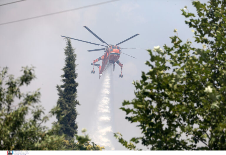 Θεσσαλονίκη: Διάσπαρτες εστίες στον Τρίλοφο- ένας πυροσβέστης στο νοσοκομείο με αναπνευστικά προβλήματα