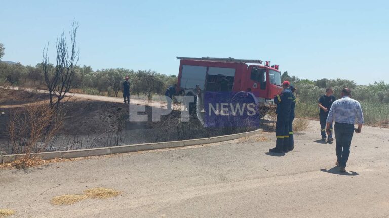 Μεσσηνία: Δυο φωτιές ξέσπασαν σε Ανάληψη και Αγ. Φλώρο – Η άμεση επέμβαση της Πυροσβεστικής αποσόβησε τα χειρότερα