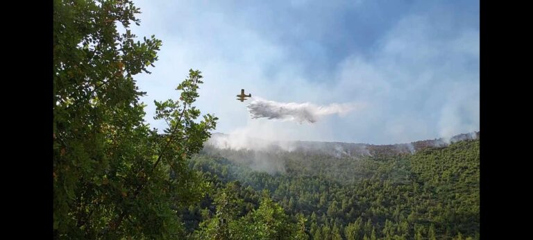 Ζάκυνθος: Καλύτερη η εικόνα της πυρκαγιάς στην Αγ. Μαρίνα – Επιχειρούν εναέρια μέσα (βίντεο)