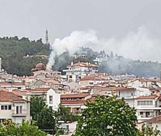 Κοζάνη: Φωτιά από κεραυνό σε δέντρο (βίντεο)