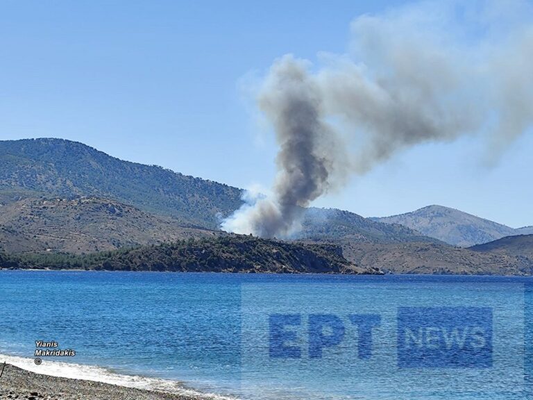 Χίος: Συναγερμός στην πυροσβεστική για πυρκαγιά στην περιοχή Μετόχι Σιδηρούντας – Μήνυμα από το 112 (βίντεο)