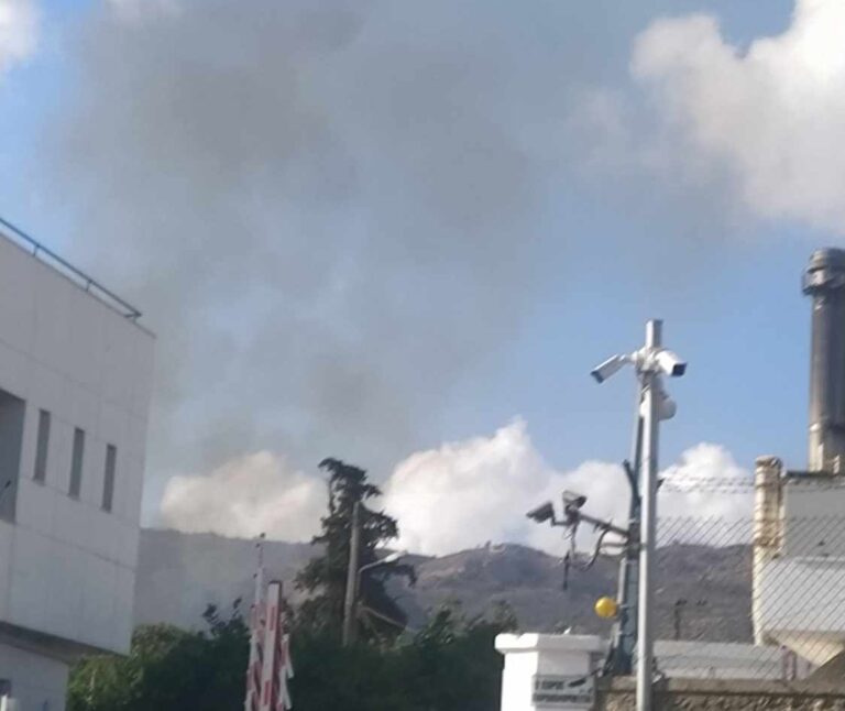 Χανιά: Κινητοποίηση της Πυροσβεστικής για φωτιά δίπλα στο εργοστάσιο της ΔΕΗ στην Ξυλοκαμάρα (βίντεο)