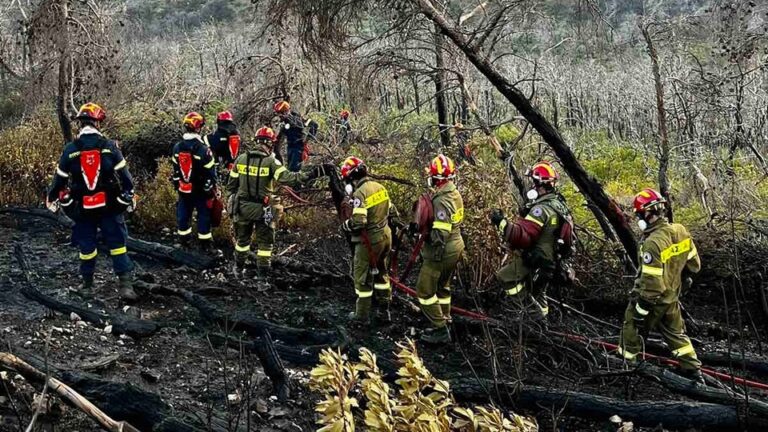 Στην πρώτη γραμμή της μάχης με τη φωτιά στην Πάρνηθα οι εθελοντές δασοπυροπροστασίας