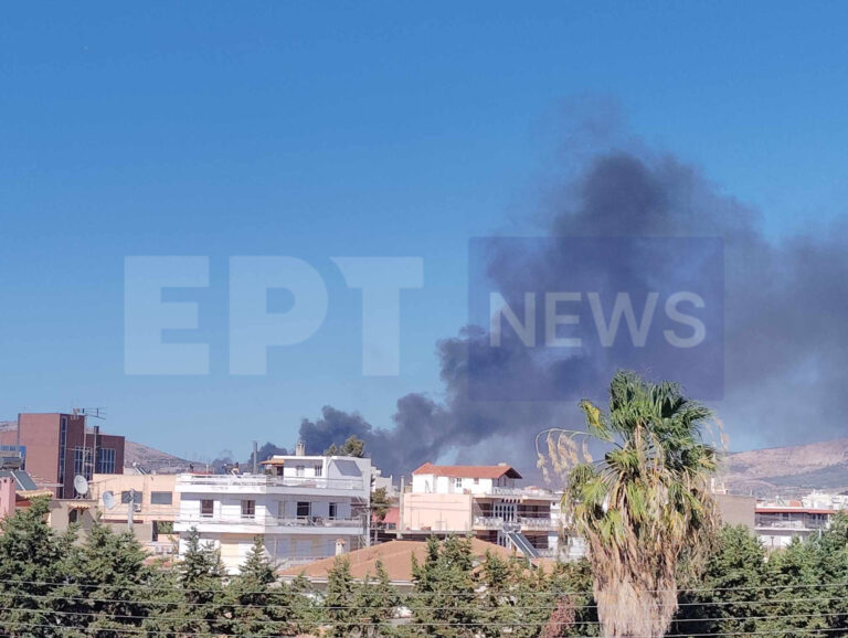 Πυρκαγιά σε απορρίμματα στη Νέα Ζωή Ασπρόπυργου – Στάλθηκε 112 (video)