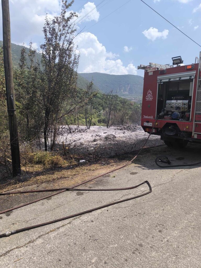 Οριοθετήθηκε η πυρκαγιά σε δασική έκταση στην Κορύτιανη Θεσπρωτίας