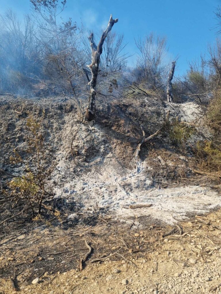 Οριοθετείται η φωτιά στο Καστράκι κάτω Γορτυνίας