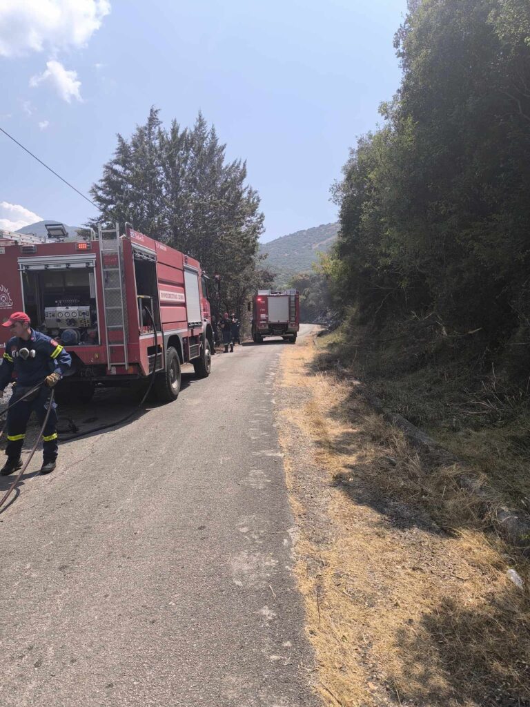 Οριοθετήθηκε η πυρκαγιά σε δασική έκταση στην Κορύτιανη Θεσπρωτίας