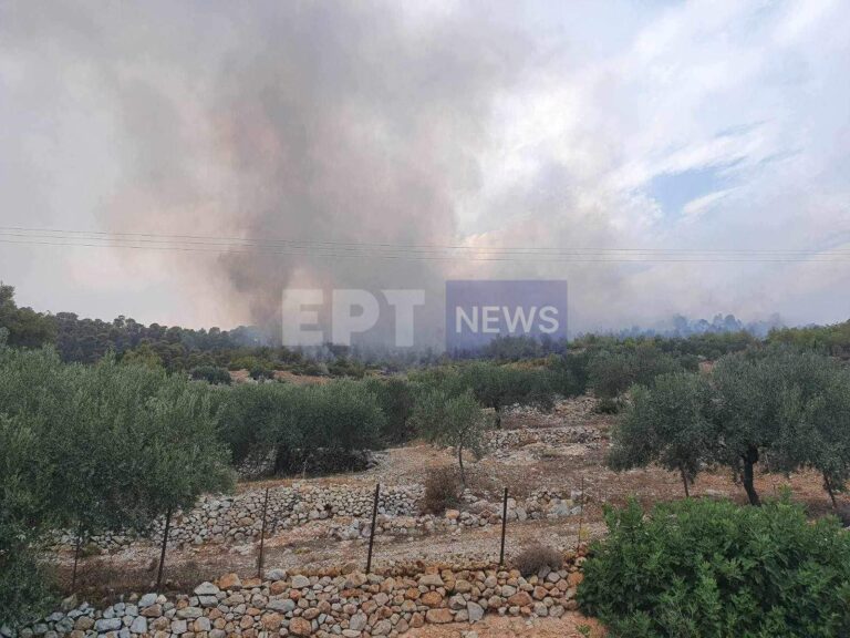Κορινθία: Πέντε πυρκαγιές από κεραυνούς – Βελτιωμένη εικόνα από τη φωτιά στο Αμόνι Σοφικού – Τραυματίστηκε πυροσβέστης (βίντεο)