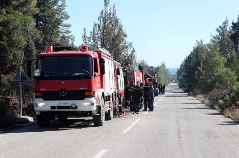 Πέλλα: Στη μάχη κατάσβεσης της πυρκαγιάς στο Πάικο και εναέρια μέσα
