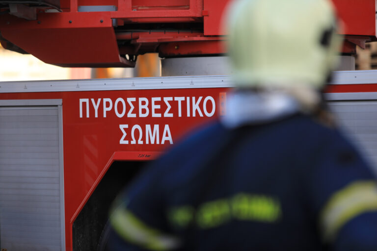 Φωτιές: Σε επιφυλακή η Πυροσβεστική για πυρκαγιά στα σύνορα με Αλβανία Αναζωπυρώσεις  στην Χίο