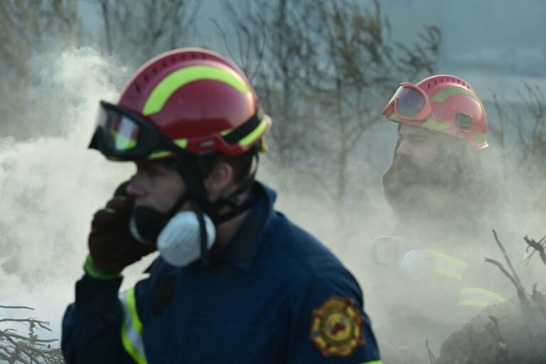 Υπό μερικό έλεγχο η πυρκαγιά στην Κορνοφωλιά Έβρου