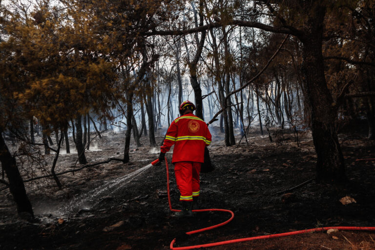 Πολύ υψηλός κίνδυνος πυρκαγιάς σε 3 περιφέρειες την Παρασκευή – Ο χάρτης πρόβλεψης