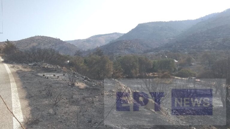 Δήμος Χίου: Μέχρι 31 Ιουλίου η προθεσμία για την υποβολή αιτήσεων αποζημίωσης από τους πυρόπληκτους