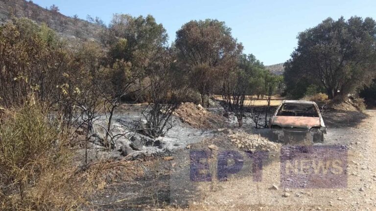 Χίος: Εσβησε η φωτιά, συνεχίζονται οι περιπολίες