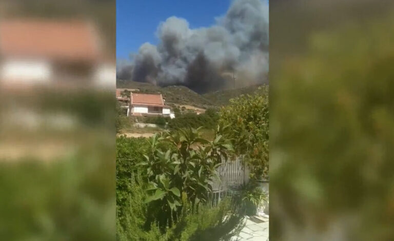 Εύβοια: Γεράκι πάνω σε ηλεκτροφώρα καλώδια ενδέχεται να προκάλεσε την πυρκαγιά στον Πισσώνα