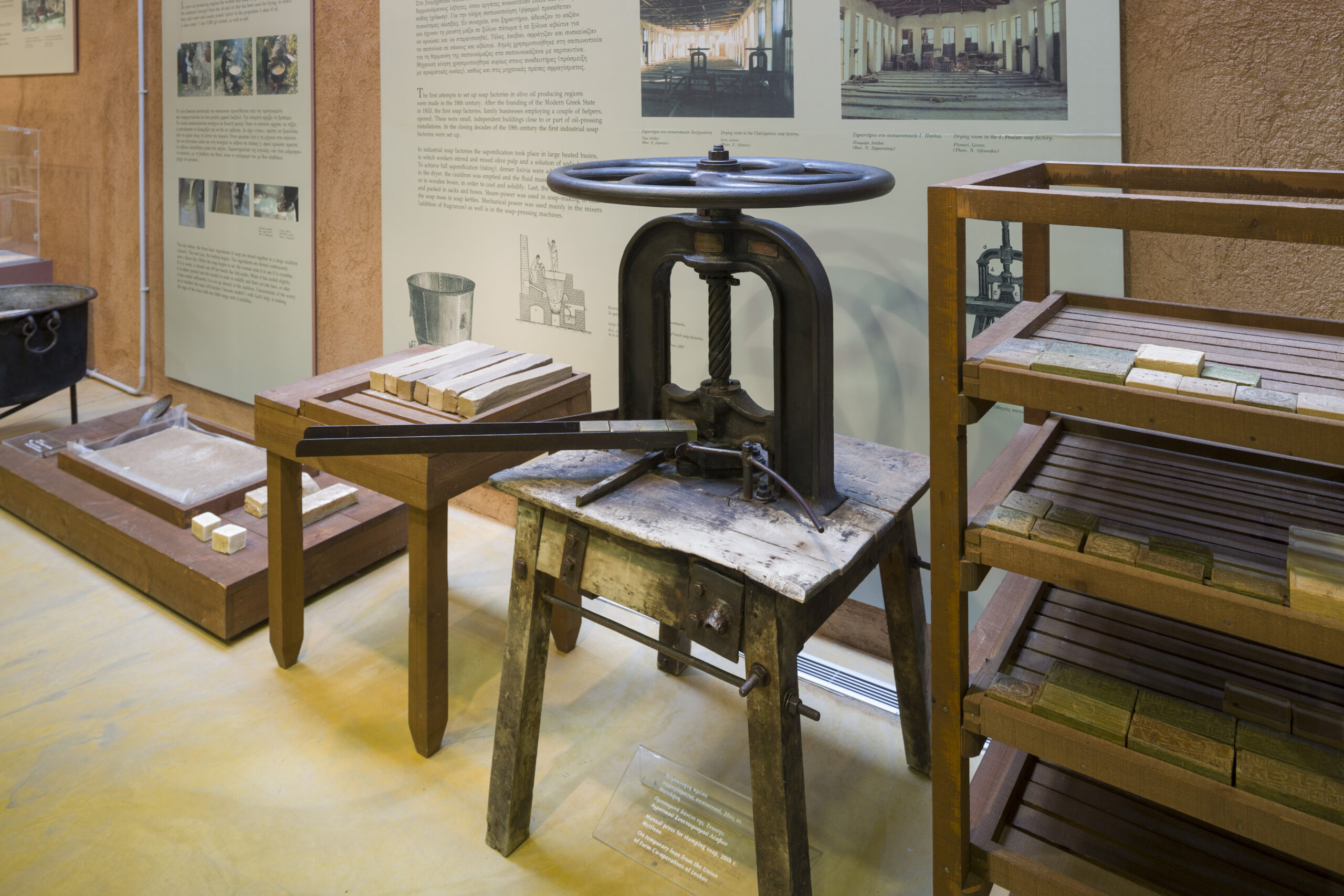 OLIVE MUSEUM