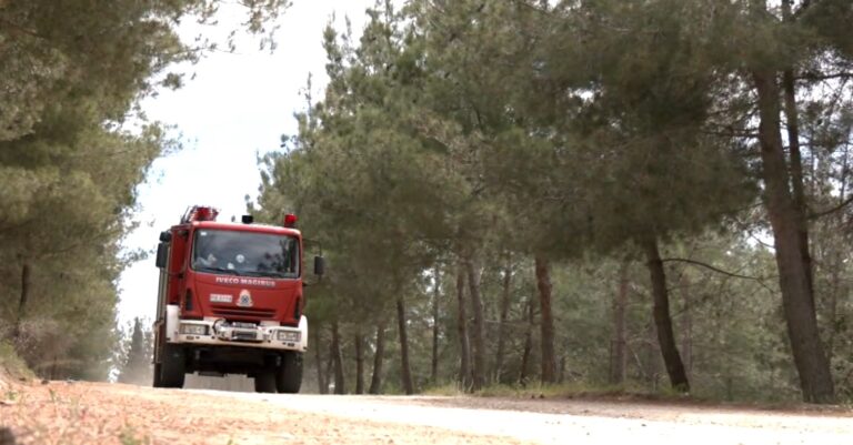 Θεσσαλονίκη: Επί ποδός κρατικός μηχανισμός και εθελοντές για την πυροπροστασία του Σέιχ Σου