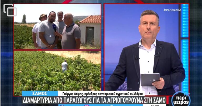Οι ζημιές από τους αγριόχοιρους φέρνουν σε απόγνωση τους αγρότες της Σάμου