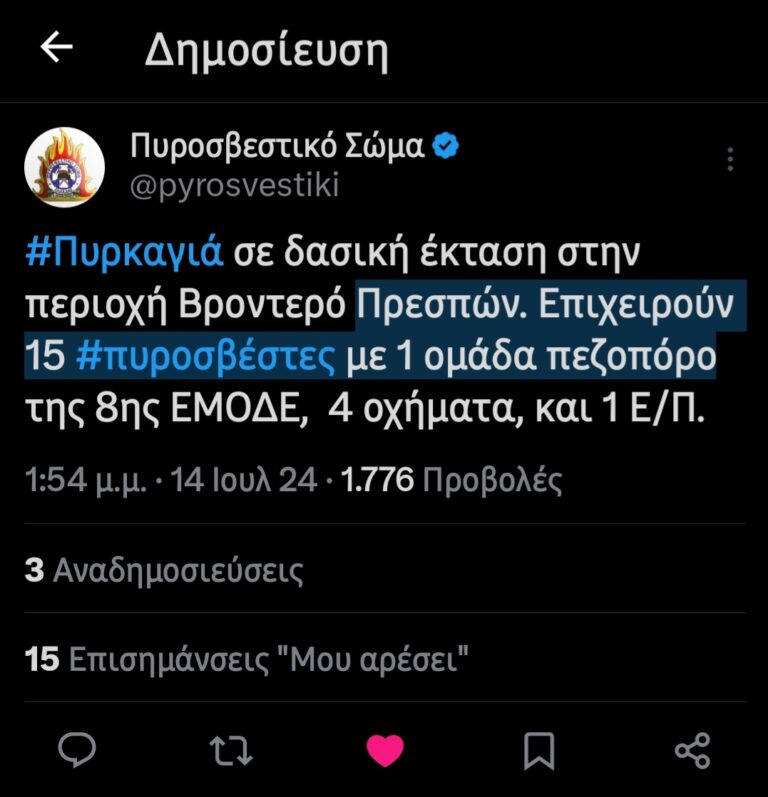 Πρέσπα: Φωτιά σε δασική έκταση στο Βροντερό