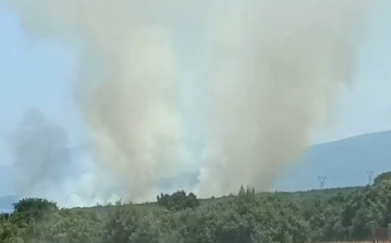 Υπό μερικό έλεγχο τέθηκε η φωτιά στο Λιτόχωρο Πιερίας