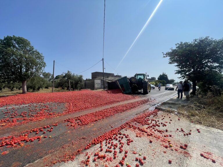 Με… τομάτες γέμισε ο δρόμος Πύργου – Κατακόλου