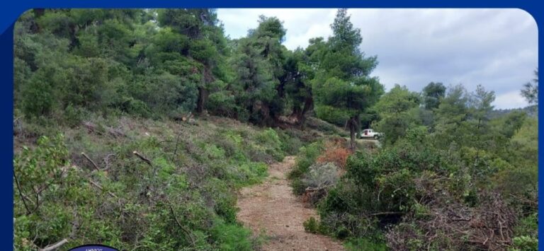 Υπό μερικό έλεγχο η πυρκαγιά στην Αγ. Μαρίνα Ζακύνθου (βίντεο)