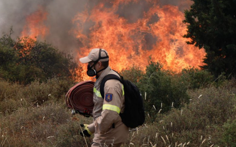 Βέροια: Υπό έλεγχο η φωτιά σε άλσος- Δεν κινδύνεψαν σπίτια