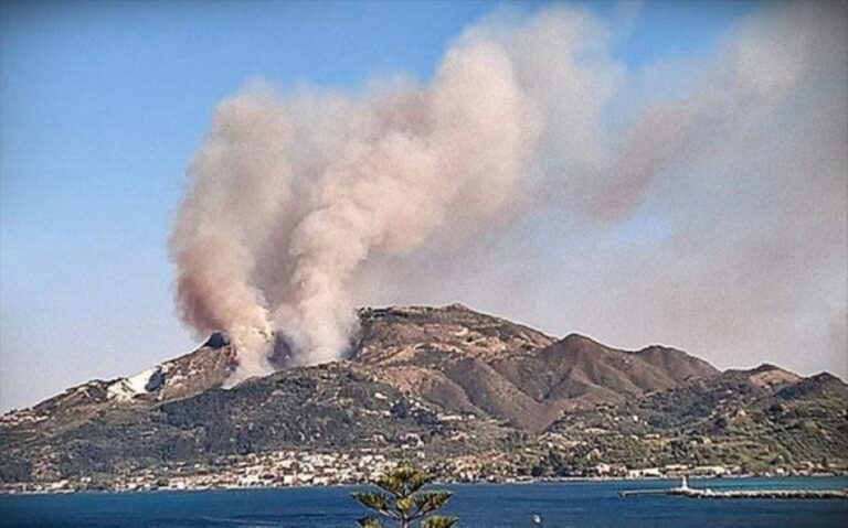 Βόλος: Ελέγχθηκε φωτιά που έκαιγε ελαιόδεντρα στη θέση “Κτήμα Κωστόπουλου” στο Διμήνι