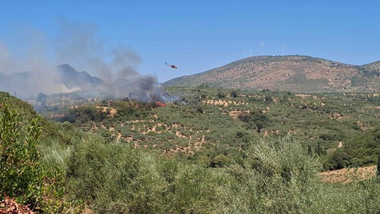 Συναγερμός στην Πυροσβεστική: Πυρκαγιά στη Νέα Σάντα Ροδόπης (βίντεο)