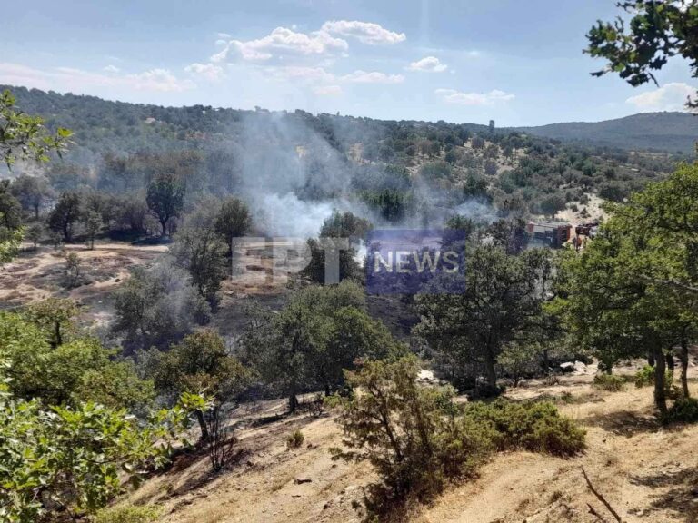 Έβρος: Οριοθετήθηκε η πυρκαγιά στην περιοχή Ρούσσα στο Σουφλί